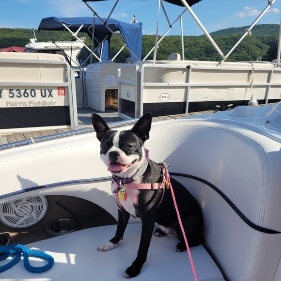 Meet your Posher, Jacque - Picture 2 of 5